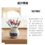 Hoạt Hình Trẻ Em Mini Bé Nĩa Trái Cây Dễ Thương Bento Sáng Tạo Trái Cây Chọn Nĩa Inox Bánh Trung Thu Nĩa Trái Cây QBFV