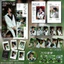 Bán Sản Phẩm Mới Tian Jiarui Basa Lễ Hội Phố Cổ Hỗ Trợ Hàng Hóa Photocard Bưu Thiếp Laser Vé Họa Tiết Mờ HD ins Phong Cách Chất Lượng Cao