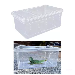 Môi trường sống bò sát quá khổ hàng đầu có nắp thông gió và vỏ buồng trong suốt