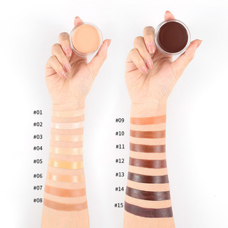 LACHAVA Concealer Concealer Concealer Dấu vết mụn quầng thâm Lâu trôi Bột chống dính Bảng che khuyết điểm 15 màu Conce