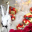 Chăn tuyết nhân tạo lông tơ 300cm cho cây thông Noel, Thảm tuyết sợi thân thiện với da, Tấm che tuyết trang trí tiệc mùa đông có thể tái sử dụng