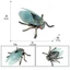 Mô phỏng trẻ em Mô hình động vật tĩnh rắn Côn trùng hoang dã Cicada Biết Vàng Cicada Đồ trang trí đồ chơi bằng nhựa Cicada Chiều cao 3cm
