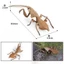 Mô phỏng xuyên biên giới cho trẻ em Mô hình côn trùng hoang dã Stifler Leaf Back Mantis Leaf Mantis Tricky Toy Đồ trang trí nhận thức Chiều cao 2cm