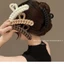 Titty Mũ Đội Đầu Kẹp Cà Phê Lấy Nhiều Cánh Kẹp Cá Mập Kẹp Mờ Đĩa Màu Tóc Đầu Lưng Cảm Giác Lớn