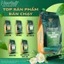 Trà Sâm Dứa túi lọc Cao cấp Newtea 150g (5x30g)- Chuyên dành cho Nhà hàng, quán Cafe