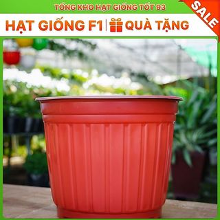 Chậu nhựa kích thước 26x20, Màu ngẫu nhiên, Đẹp Bền Loại 1
