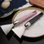 AA 1 Chiếc Cân Cá Không Gỉ Cạo Graters Nhanh Loại Bỏ Vệ Sinh Peeler Cạp Xương Dụng Cụ Tiện Ích Nhà Bếp Phụ Kiện VN