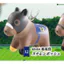 Hàng có sẵn Nhật Bản ULCAP Capsule Toy Super Riding Horse Huyền thoại ngựa nổi tiếng Mặt dây chuyền 26th ED3H
