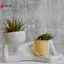 Chậu trồng cây lười cho người trồng đầu hoa bằng nhựa dễ thương nằm xuống hình Trang trí sân vườn tại nhà Quà tặng VN