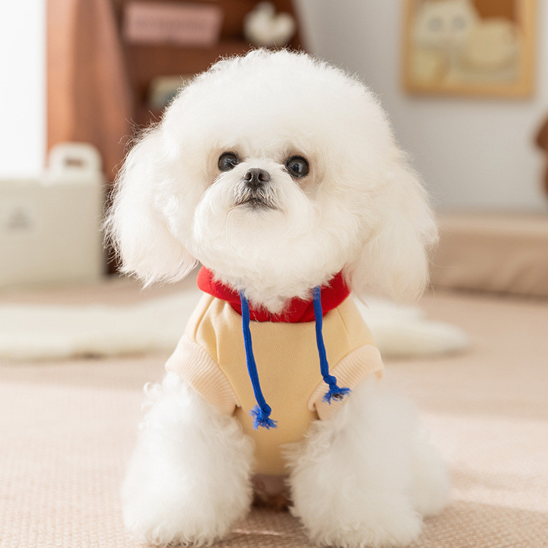 【Ready Stock】 Korean Pet Clothes Autumn and Winter Thin Sweater Hooded Two-Legged Cartoon Small Dog Bichon Poodle Dog Clothes RlcX