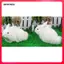 14x21cm Thỏ Tượng Vườn Tượng Tượng Tượng Tượng Tượng Phục Sinh Trang Trí Bãi Cỏ