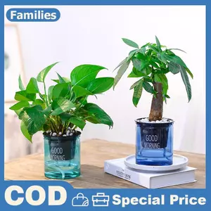 Chậu hoa trong suốt Chậu hoa tự tưới cây Chậu hoa Trang trí sân vườn nhà