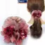 MAKY Dây Cao Su Mũ Đội Đầu Hoa Tóc Dây Thanh Lịch Người Phụ Nữ Updo Đuôi Ngựa Co Giãn Lớn Scrunchie Phụ Kiện Tóc Cho Nữ VN