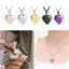 Mặt dây chuyền hình trái tim tưởng niệm hàng đầu cho thú cưng Vòng cổ trang sức có thể mở được