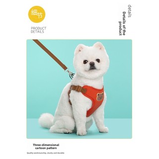 Loại dây đeo cho chó nhỏ cỡ vừa