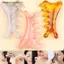 VFZ Body Meridian Massageb Nhựa Năm Răng Rộng Châm Cứu Trị Liệu Tuần Hoàn Máu Chống Tĩnh Điện Mịn Tóc OTE