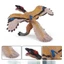 Mô phỏng kỷ Jura Mô hình khủng long bằng nhựa tĩnh Cánh trải rộng Archaeopteryx Pterodactyl Khủng long Đồ chơi làm bằng tay cho trẻ em Chiều cao 9cm