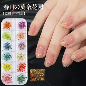 Ooolala Hoa Nhiều Màu Sắc Trang Trí Móng Tay Miếng Dán Hàng Mới Về 12 Lưới Monet Vườn Hoa Siêu Mỏng Ren Hoa Đồ Trang Trí