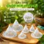 🔥Đế lót chậu nhựa hình nón thoát khí chống thối rễ |Lót đáy chậu thoát nước dạng lưới |Đệm lót chậu cây chống ngập úng