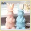B & N 3D N Thắt N Thỏ Nến Phục Sinh Khuôn Silicon Handmade Hương Thơm Thạch Cao Khuôn Nhựa Hoạt Hình Hình Thỏ Làm Nến Đồ Dùng.