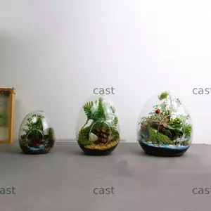 CAST Bình thủy tinh mọng nước Thịt thủy canh hình quả trứng trang trí nhà cửa