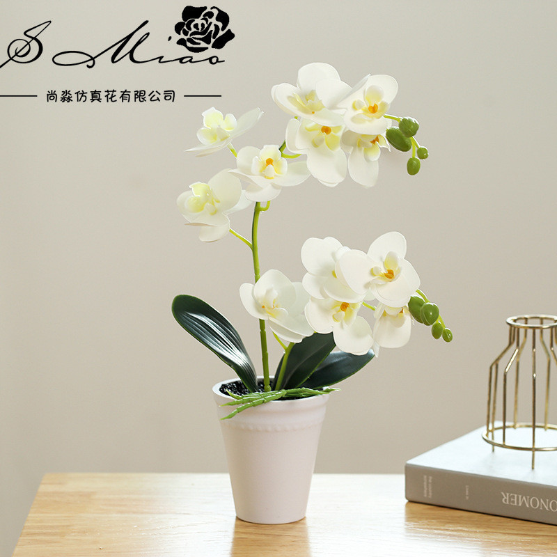 Chậu Hoa Lan Hồ Điệp Trắng Giả | Trang Trí Thanh Lịch Cho Nhà & Văn Phòng