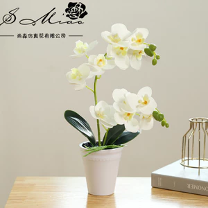 Chậu Hoa Lan Hồ Điệp Trắng Giả | Trang Trí Thanh Lịch Cho Nhà & Văn Phòng