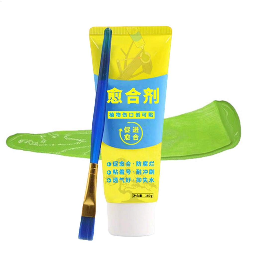 Tree Pruning Sealer Bonsai Tree Pruning Sealer Agent 100g Weatherproof Paste with Brush Trunk Dressing greiwe2vn