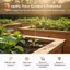 Cọc cây cuộn dây đồng thủy sản 3 chiếc để tăng cường phát triển cây trồng trong tất cả các thiết lập sân vườn [VN]