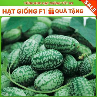 Hạt giống Dưa hấu mini tí hon hàng công ty Loại 1