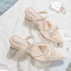 French High Heels For Women This Summer New Pointed Toe Thick Heels With Skirt Lace Mesh Hollow