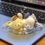 Sanrio Dễ Thương Pochacco Hoạt Hình Ba Lô Treo Trang Trí Đường Chó Nhỏ Dán Móc Khóa Từ Tính