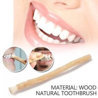 Bàn chải Miswak JKDESIGN mềm, thân thiện môi trường, không cần kem, que truyền thống dùng khi du lịch