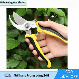 Bộ dụng cụ cắt tỉa cây cảnh chuyên nghiệp, kèm kéo tỉa cành đa năng và kéo cắt tỉa hoa, đáp ứng mọi nhu cầu làm vườn