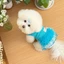 QEARY Puppy Công Chúa Đầm, Thoải Mái Mềm Mại Cho Chó Lưới Lông Tơ Váy, Thời Trang Cổ Tròn Thoáng Khí Mỏng Dây Đeo Thú Cưng Váy Puff Đảng