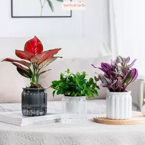 Chậu hoa ITRUMPET, Chậu cây thủy canh có thể tháo rời tự tưới nước, Trang trí cây cảnh văn phòng bằng nhựa