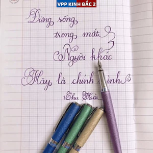 Bút Máy Thanh Đậm Luyện Viết Chữ Đẹp, Ngòi Lá Tre Tách Đôi Calligraphy 005.