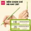 Hộp 10 bút Chì Gỗ Deli 2B/ HB Xanh Matcha Cao Cấp – Thiết Kế Tam Giác Chống Mỏi Tay Ngòi 3.2mm Viết Êm Khó Gãy