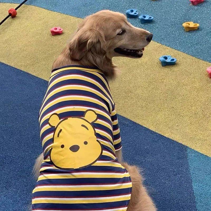 【Ready Stock】 Large Dog Labrador Golden Retriever Alaska Samoyed Handsome Pet Clothes Thin Clothing T-shirt qUhX