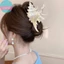 SUND 1 Chiếc Vuốt Tóc Thanh Lịch Kẹp Sáng Tạo Conch Kẹp Tóc Nhiều Màu Sắc Quà Tặng Cho Mùa Hè Đi Biển Mũ Phụ Kiện Tóc VN