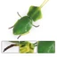 Mô phỏng xuyên biên giới cho trẻ em Mô hình côn trùng hoang dã Stifler Leaf Back Mantis Leaf Mantis Tricky Toy Đồ trang trí nhận thức Chiều cao 2cm