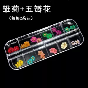 Ooolala Móng Tay 12 Màu Ren Hoa Cây Hoa Gypsophila Nhiều Màu Sắc Sơn Móng Tay Dài Trang Sức Đóng Hộp Quang Trị Liệu Keo Hoa Thật