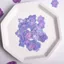 Ooolala Màu Chính Tự Nhiên Đa Chân Hydrangea Bấm Hoa Epoxy Ốp Điện Thoại diy Hoa Thật Coaster Bấm Hoa Khung Ảnh Filler