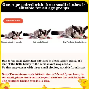 4 Thú Cưng Nhỏ Dây Đeo Ngực Hamster Sóc Dây Xích Chống Cắn Lực Kéo Dây Đường Glider Chống Gió Đặc Biệt Chống Mất Dây