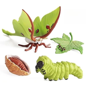 Trẻ em Mô phỏng Khoa học nhận thức Đồ chơi giáo dục Động vật Côn trùng Mô hình Lunar Moth Silkworm Moth Bướm bướm Chu kỳ tăng trưởng sâu bướm Chiều cao 7cm