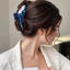 Kẹp Tóc JVSUB Acetate, Vuốt Tóc Cá Voi Hoạt Hình Kích Thước Lớn, Dễ Thương Nhẹ Không Trượt Sinh Vật Biển Vuốt Kẹp Mùa Hè