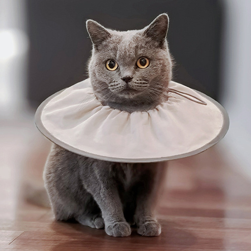 HamshMoc Pet E Vòng Cổ Bộ Nhớ Khung Thép Chống Nước Nhẹ Phản Quang Để Phục Hồi