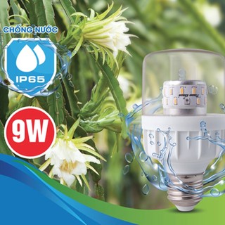 Đèn LED trồng cây thanh long 5W, 9W Chính hãng Rạng Đông, Model LED.TL-T60 WFR/9W