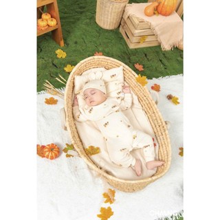 Chaang AW2025 Body dài raglan Harvest cho bé T10.3