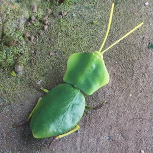Mô phỏng xuyên biên giới cho trẻ em Mô hình côn trùng hoang dã Stifler Leaf Back Mantis Leaf Mantis Tricky Toy Đồ trang trí nhận thức Chiều cao 2cm
